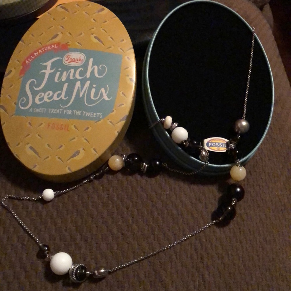Fossil Necklace